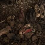 Minori, Save the Children, 449 milioni di bambini in zone di guerra