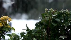 Usa, bufera di neve in arrivo in California