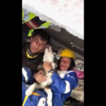 Oltre 20 giorni sotto le macerie, cane salvato in Turchia
