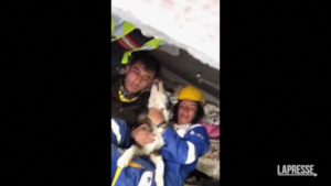 Oltre 20 giorni sotto le macerie, cane salvato in Turchia