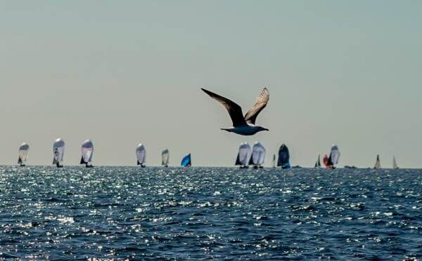 Vela, Primo Cup 2023 - Trofeo Credit Suisse