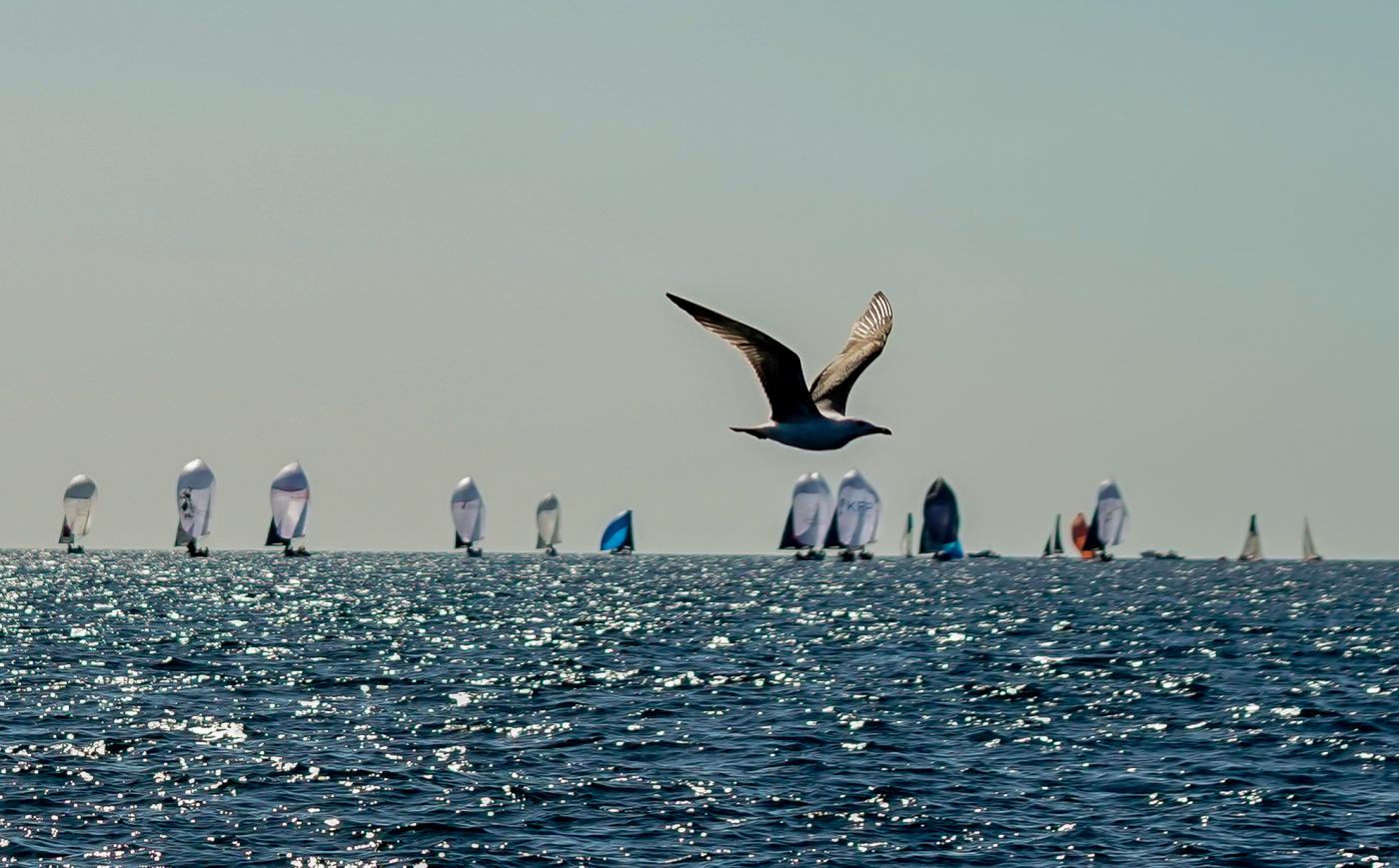 Vela, Primo Cup: in classe Smeralda vince ‘Vamos mi Amor’, in J/70 team ‘Alice’