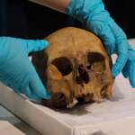 Roma, trovati teschio e ossa in cantiere ai Parioli