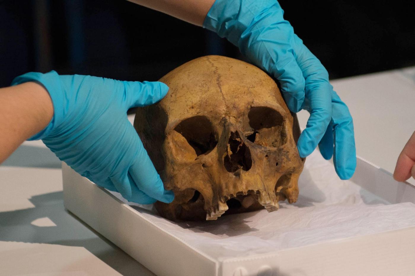 Roma, trovati teschio e ossa in cantiere ai Parioli Roma, trovati teschio e ossa in cantiere ai Parioli