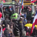 Olanda, gli agricoltori protestano contro il governo