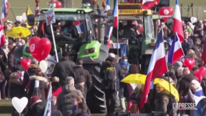 Olanda, gli agricoltori protestano contro il governo