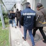 Controlli Nas in mense scolastiche, 1 su 3 è irregolare