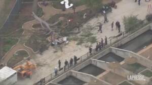 Usa, cade ramo di un albero allo zoo di San Antonio: 7 feriti