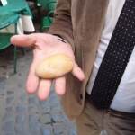 Siccità, Bonelli con i sassi dell’Adige: “Governo ostile all’ambiente”