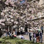 Meteo, anticipo d’estate: ma non definitivo