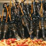 Farina insetti, stretta dell’Italia con 4 decreti