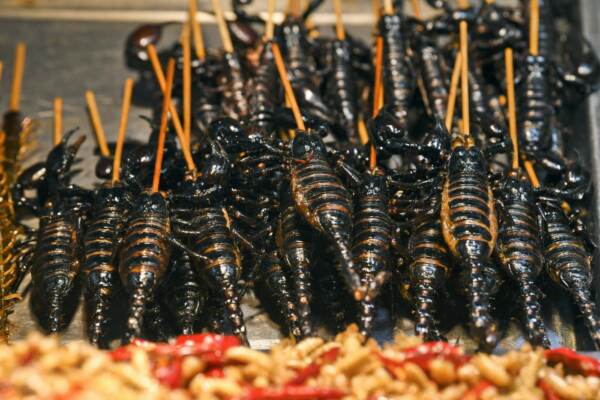 Insetti fritti i vengono venduti in un mercato nella città di Nanning