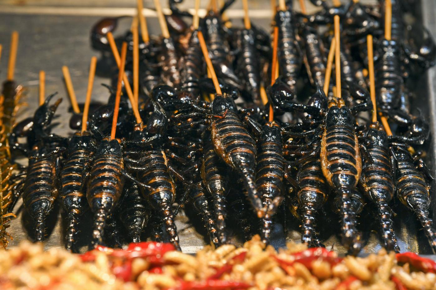 Farina insetti, stretta dell’Italia con 4 decreti Farina insetti, stretta dell’Italia con 4 decreti