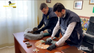 Roma, traffico di stupefacenti ad Ardea: 2 arresti