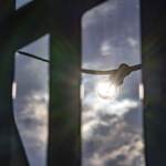 Energia, con ora legale l’Italia risparmia 220 milioni