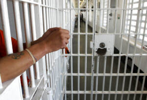 Reato di tortura, Fdi propone legge per abrogazione