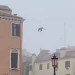 Venezia, tuffo dal tetto nel canale: l’ira del sindaco