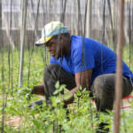 Migranti, oggi ‘click day’: attesi 82.705 ingressi