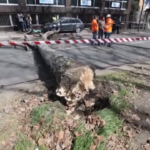 Milano, i danni causati dal forte vento