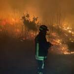 Varese, incendi nei boschi: fiamme vicino alle case