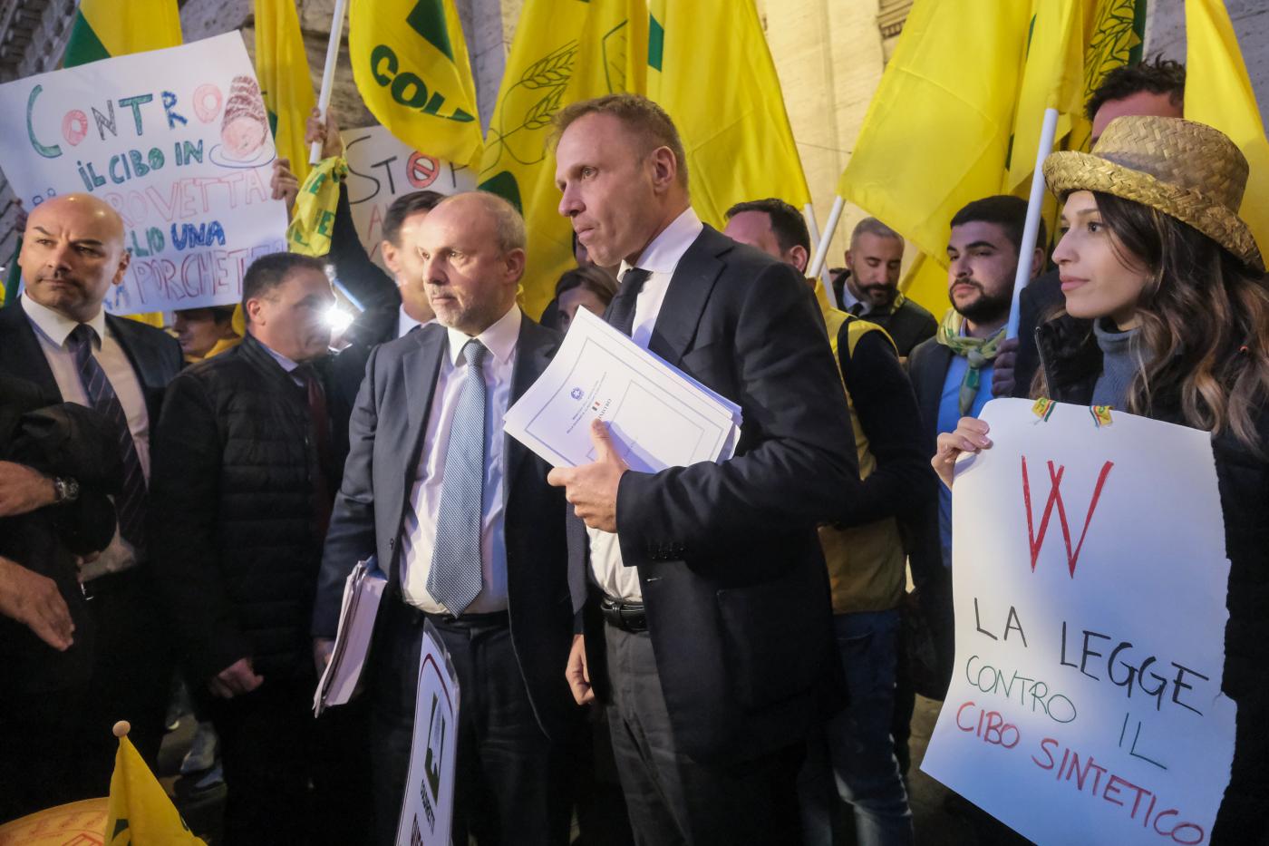 Stop a cibo sintetico, Coldiretti esulta: “Protegge Made in Italy” Stop a cibo sintetico, Coldiretti esulta: “Protegge Made in Italy”