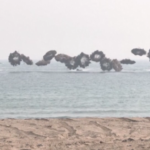 Corea del Sud-Usa, test di sbarco combinato a Pohang