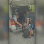 Udine, favoreggiamento immigrazione clandestina: arrestato iracheno