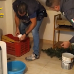 Pescara, droga nascosta tra la legna: arrestato 24enne