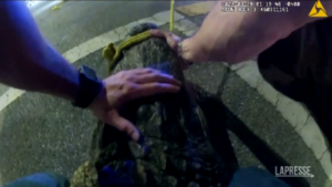 Florida, alligatore selvatico in strada: la polizia lo cattura