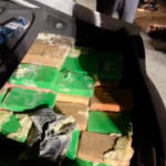Livorno, scaricavano 50 chili di cocaina al porto: arrestati