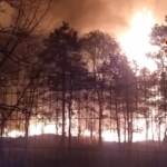 Milano, le immagini dell’enorme incendio (poi domato) al parco delle Groane