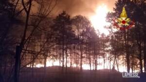 Milano, le immagini dell’enorme incendio (poi domato) al parco delle Groane
