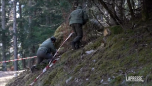 Trento, 26enne morto in montagna: ipotesi aggressione di un orso