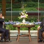 Cina, Xi e Macron prendono il tè