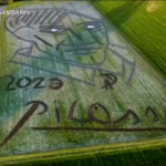 Picasso, l’enorme ritratto col trattore di Dario Gambarin