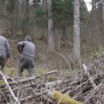 Morte Andrea Papi in Trentino, in corso le ricerche dell’orsa JJ4