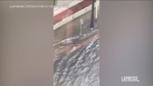 Usa, pioggia torrenziale in Florida: uomo nuota in strada