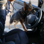 Matera, sequestrato 1kg di droga e arrestato corriere calabrese
