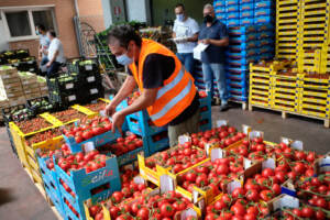 Centro Agroalimentare di Roma (CAR)