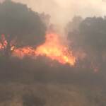 Incendi, domato il rogo tra Francia e Spagna