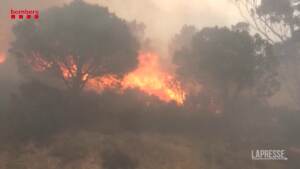 Incendi, domato il rogo tra Francia e Spagna