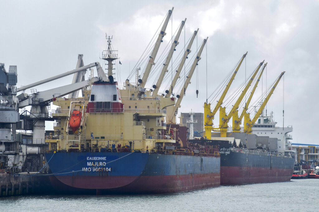 Ucraina, riprese ispezioni su navi grano