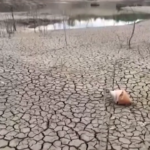 Siccità in Spagna: terra arida dove c’era un bacino d’acqua