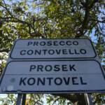 Prosecco, emendamento anti-Prosek in commissione agricoltura Ue