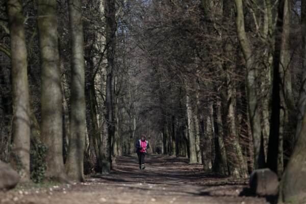 Parco delle Colline , bosco Sant\'Anna
