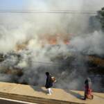 Earth Day, il biologo: “Soluzioni comuni perché la CO2 non rispetta i confini”