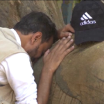 Pakistan, elefante malata muore allo Zoo: le tragiche immagini
