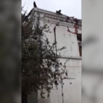 Ucraina, bombardato museo Kupyansk: le prime immagini