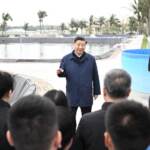 Ucraina, lunga telefonata tra Zelensky e Xi Jinping