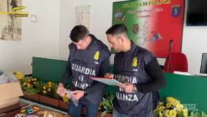 Pokemon falsi, finanza sequestra 3 mln di prodotti contraffatti